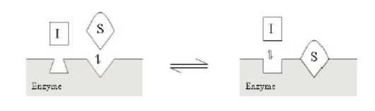 ladbrokes立博-英国公司官网