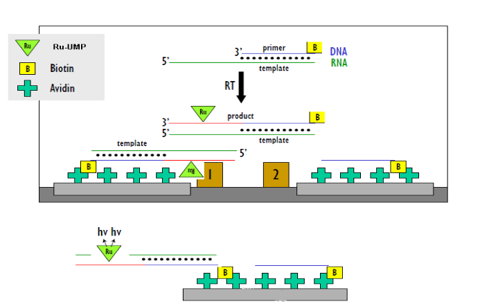 ladbrokes立博-英国公司官网