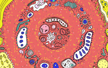 ladbrokes立博-英国公司官网