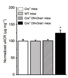 ladbrokes立博-英国公司官网