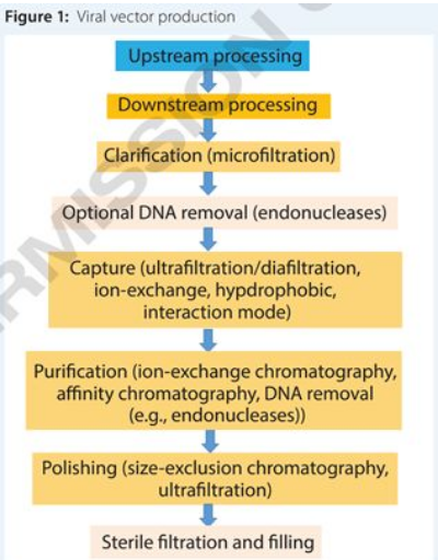 ladbrokes立博-英国公司官网