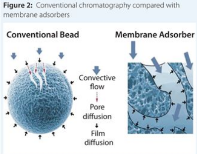 ladbrokes立博-英国公司官网