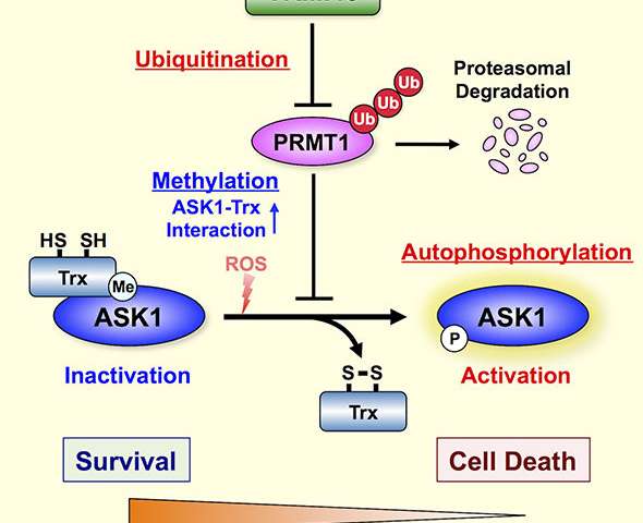 ladbrokes立博-英国公司官网