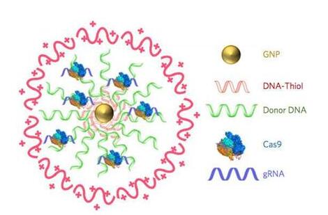 ladbrokes立博-英国公司官网