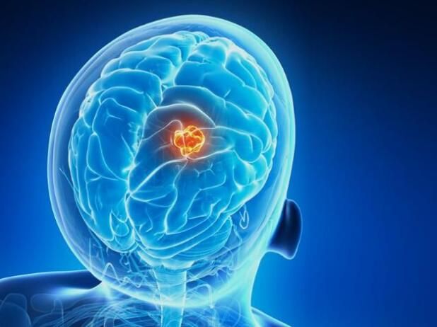 ladbrokes立博-英国公司官网