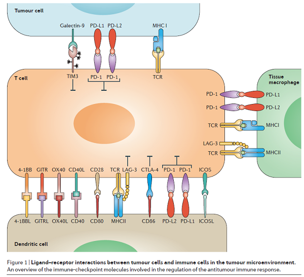 ladbrokes立博-英国公司官网