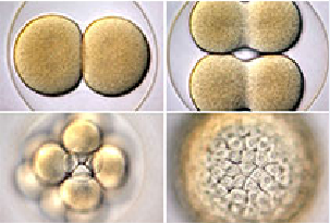 ladbrokes立博-英国公司官网