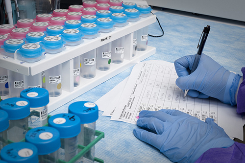 浅谈：立异药物IND申请之药学研究