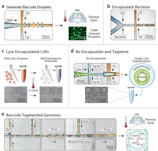 ladbrokes立博-英国公司官网