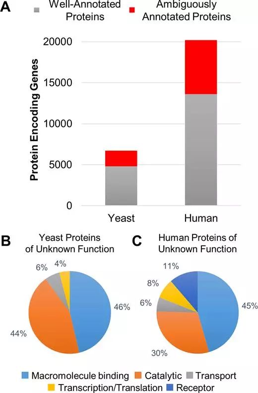 ladbrokes立博-英国公司官网