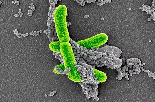 ladbrokes立博-英国公司官网