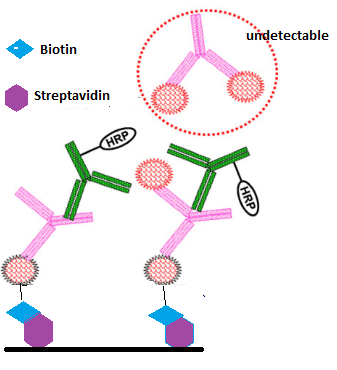 ladbrokes立博-英国公司官网