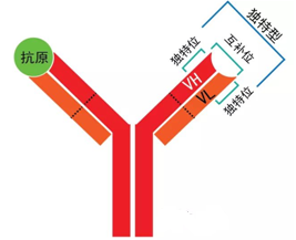 ladbrokes立博-英国公司官网
