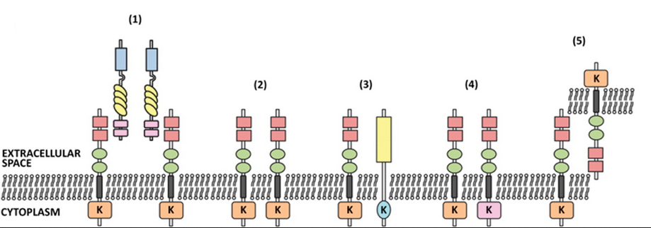 ladbrokes立博-英国公司官网