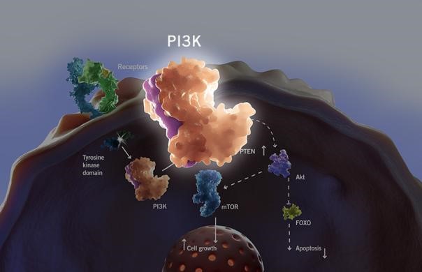 ladbrokes立博-英国公司官网