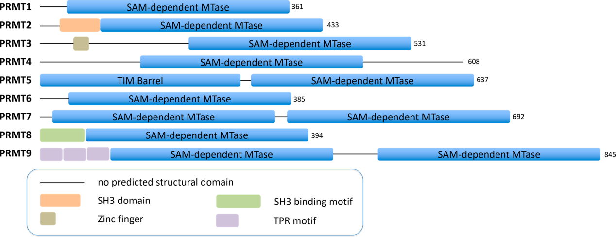 ladbrokes立博-英国公司官网