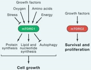 ladbrokes立博-英国公司官网