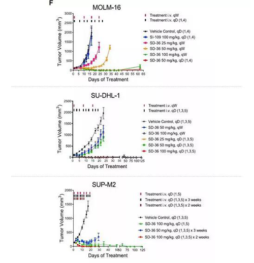 SD-36在动物模子药效试验中体现卓越