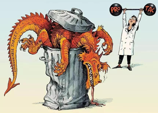 聚焦PROTAC：：：Make“Undruggable”TargetsDrugable