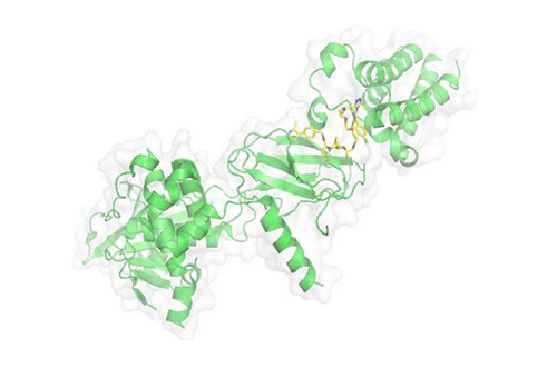 PROTAC手艺，，马兴泉