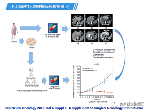 Ladbrokes立博PDX模子