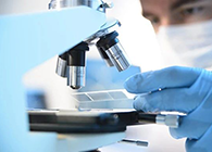 Ladbrokes立博代谢产品判断(MetlD)服务平台