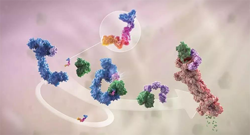 LYTAC出生，，，与PROTAC并肩作战针对不可成药的靶点