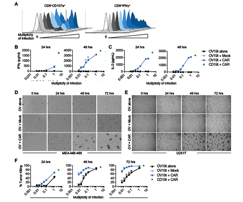 ladbrokes立博-英国公司官网