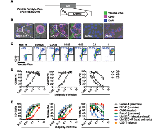 ladbrokes立博-英国公司官网