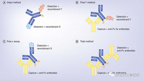 双抗药物剖析需要Case by Case的思量