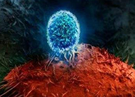 Nature：：：BATF3改善T细胞影象应答，，，有望改善免疫疗法的疗效