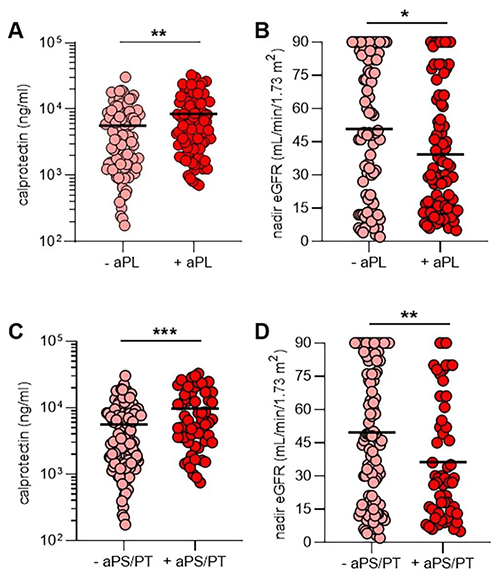 aPL抗体、、NET释放和肾功效