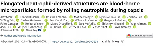 一种神秘颗粒被发明了 ！它能否成为败血症早筛标记物？？
