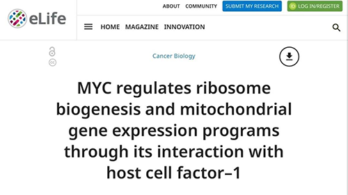 可以“融化”肿瘤的卵白质，，你一定没有听说过！！！
