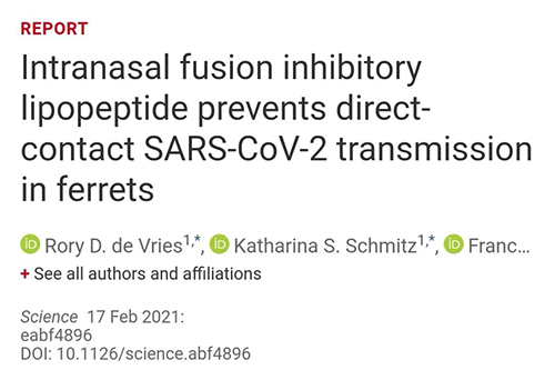 Science速递|鼻喷雾剂可阻止新冠肺炎撒播，，，在雪貂实验中已初获效果