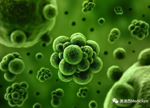1分钟，，全中国就有7.5人被确诊为患癌 Ladbrokes立博生物医药