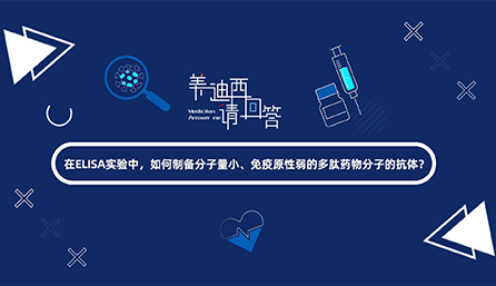 在ELISA实验，怎样制备分子量小、、、免疫原性弱的多肽药物分子的抗体？？