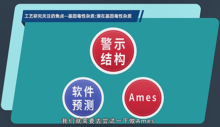 工艺研究关注的焦点：：：潜在的基因毒性杂质