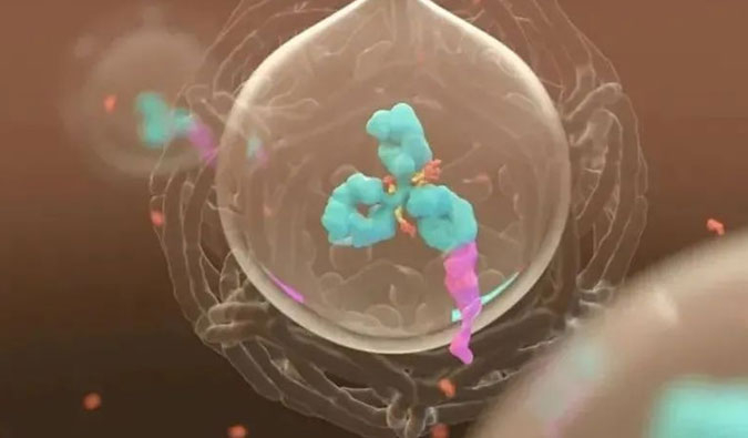 美研 | ADC，为靶向给药而精准深耕