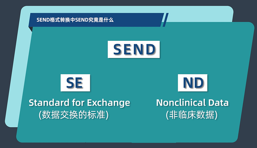 SEND名堂转换中的SEND事实是什么？？？