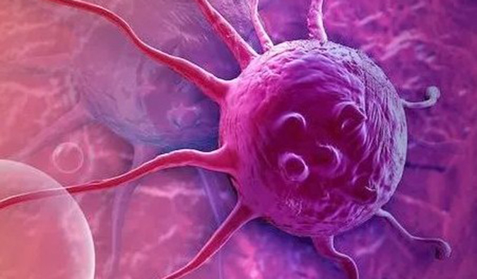 Ladbrokes立博助力中国原研高选择性EP4受体拮抗剂YY001获批临床