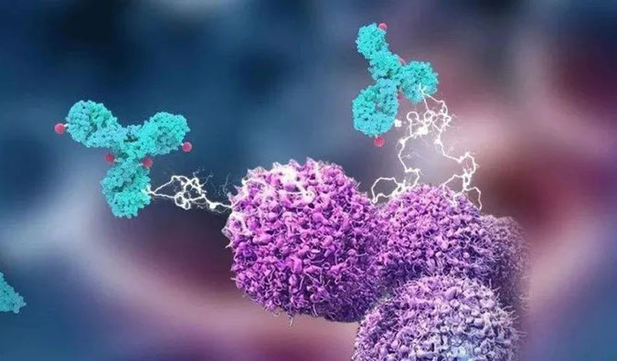 Ladbrokes立博助力国产靶向叶酸受体FRα ADC注射用BAT8006获批临床