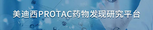 Ladbrokes立博PROTAC药物发明研究平台.png