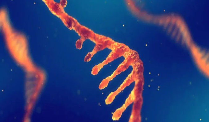 赋能核酸药物疗法，，，迎接新药研发第三次浪潮