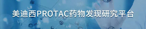 Ladbrokes立博protac药物发明研究平台.jpg