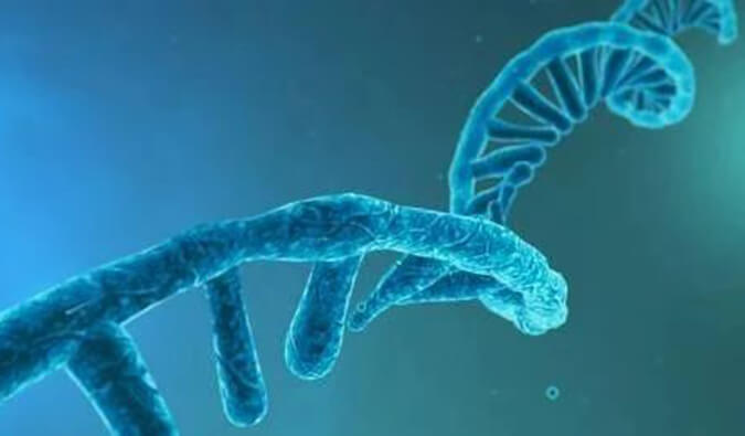 美研丨寡核苷酸药物市场远景、、生长挑战及应对战略