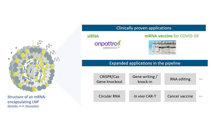【专家报告】张翼博士：：阳离子脂质高通量定制化筛选
