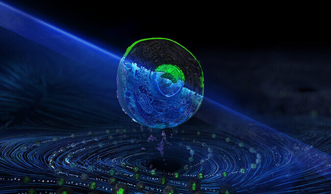 Ladbrokes立博流式细胞分选服务平台