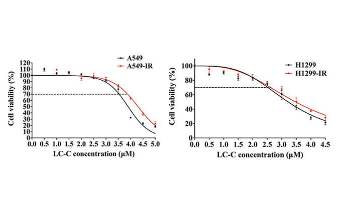 放射疗法用作肺癌的主要治疗要领，，，本研究中建设抗电离辐射肺癌细胞系的放射治疗通过Ladbrokes立博举行
