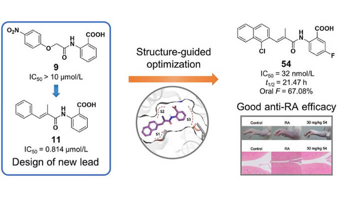 设计合成一系列DHODH抑制剂作为潜在的类风湿性枢纽炎治疗药物，，，本研究中PK实验通过Ladbrokes立博举行